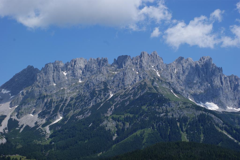 Ferienwohnung Steiner In Scheffau Scheffau am Wilden Kaiser Εξωτερικό φωτογραφία